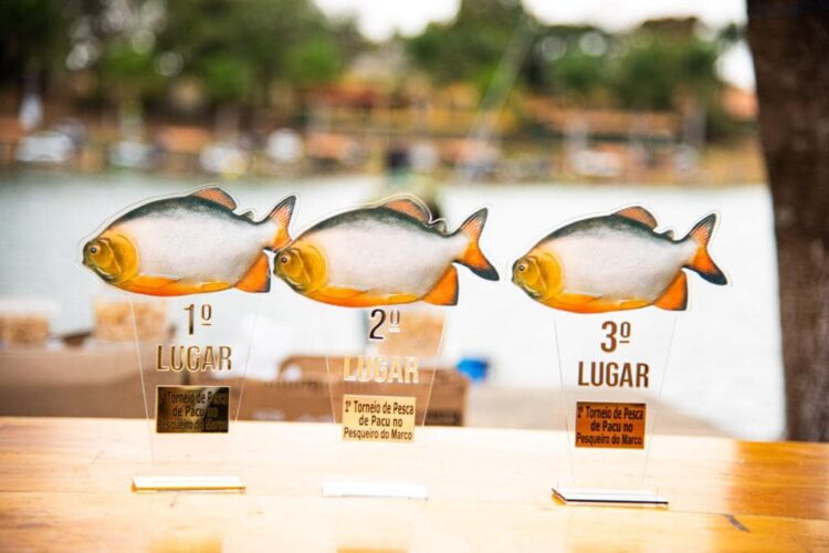 Torneio de Pesca é sucesso em Cosmópolis