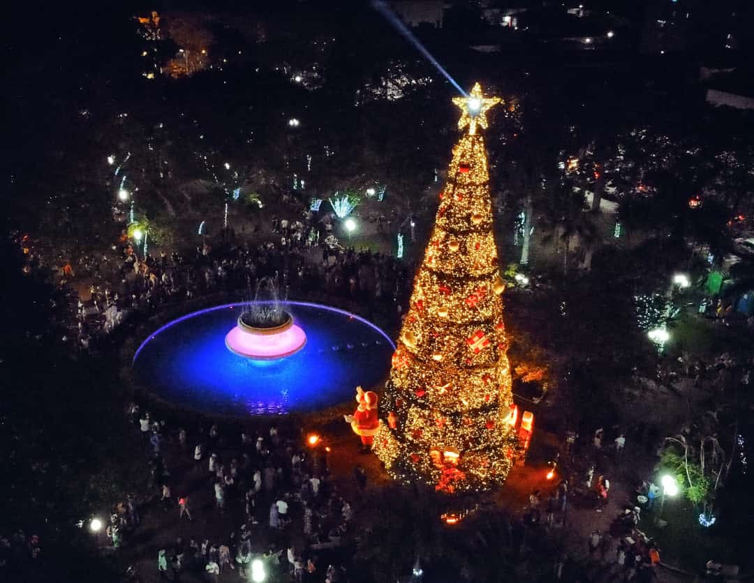 Árvore de Natal de 22 metros de altura e cinco personagens que se movem  sozinhos é instalada pela Guiné Eventos em Araras - Jornal Gazeta Regional